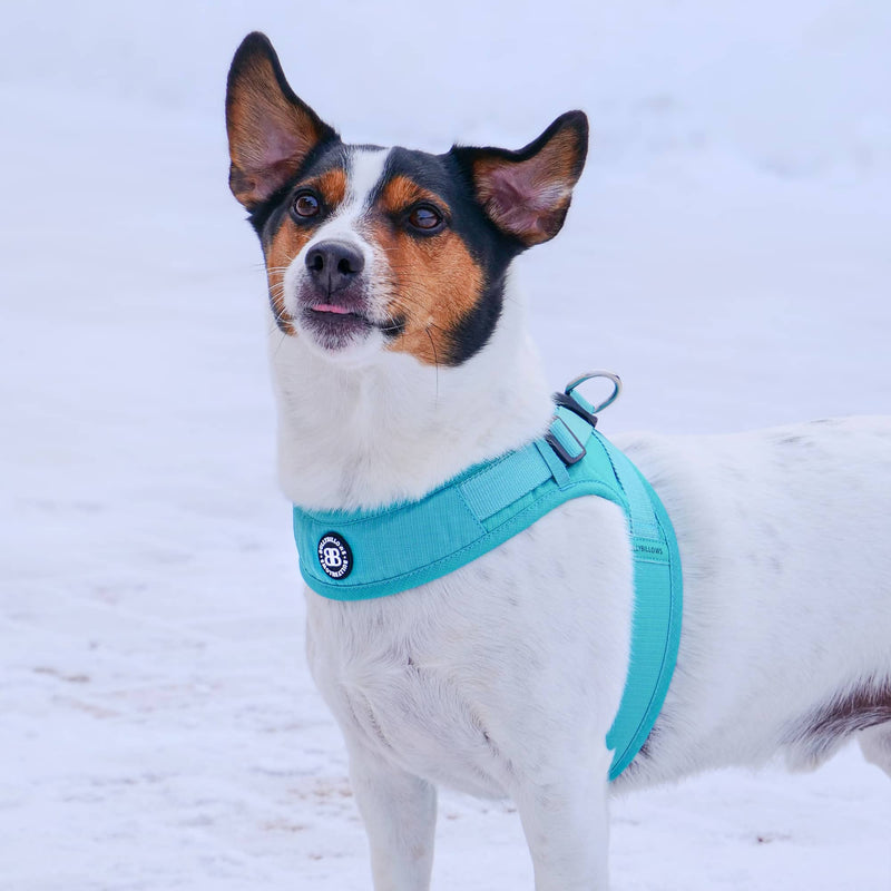 Boomerang Harness - XS-M Breeds - Pink